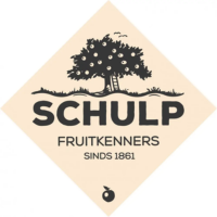 Schulp