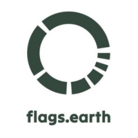 Flags Earth